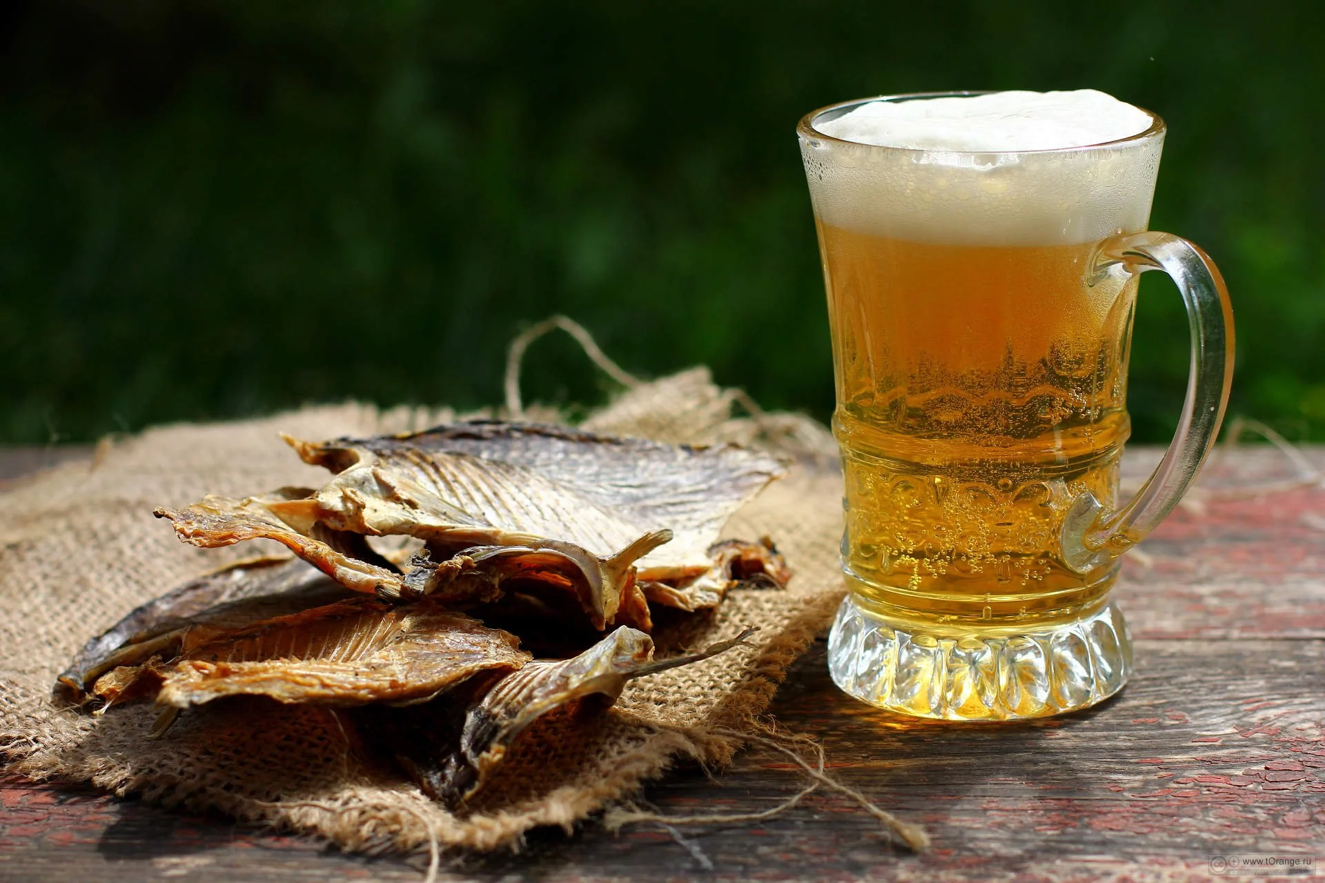 fish-beer-1.webp