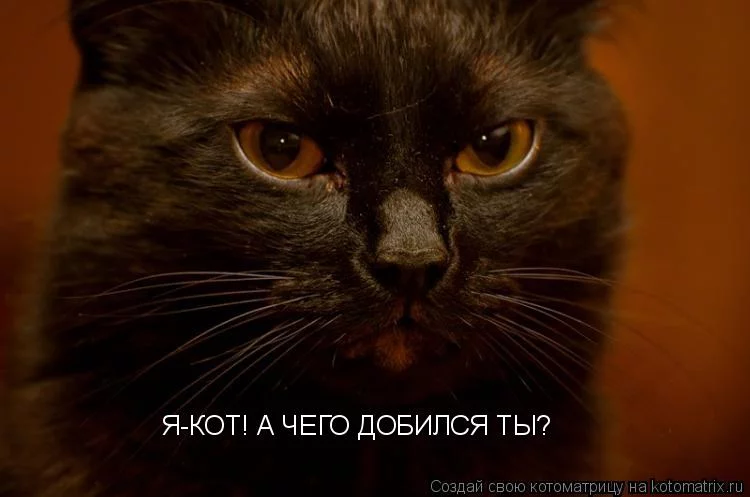 fj5ccd.webp
