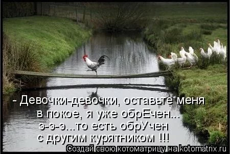 fjb0je.webp