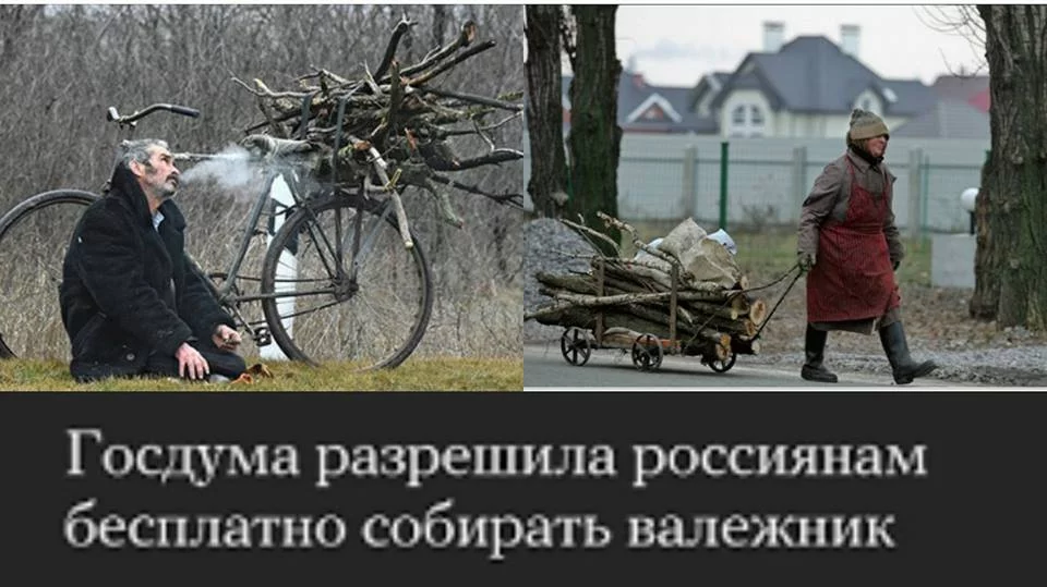 fjb7jd.webp