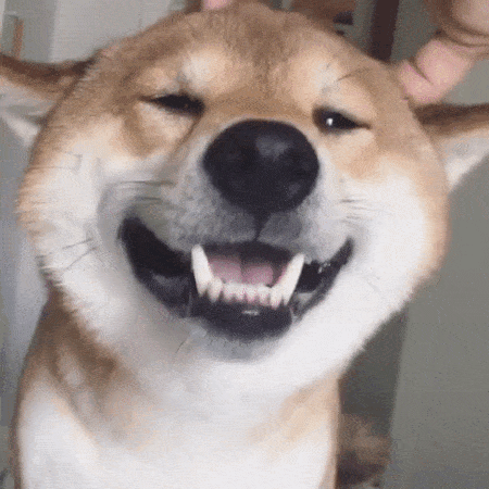 fjbf0b.gif