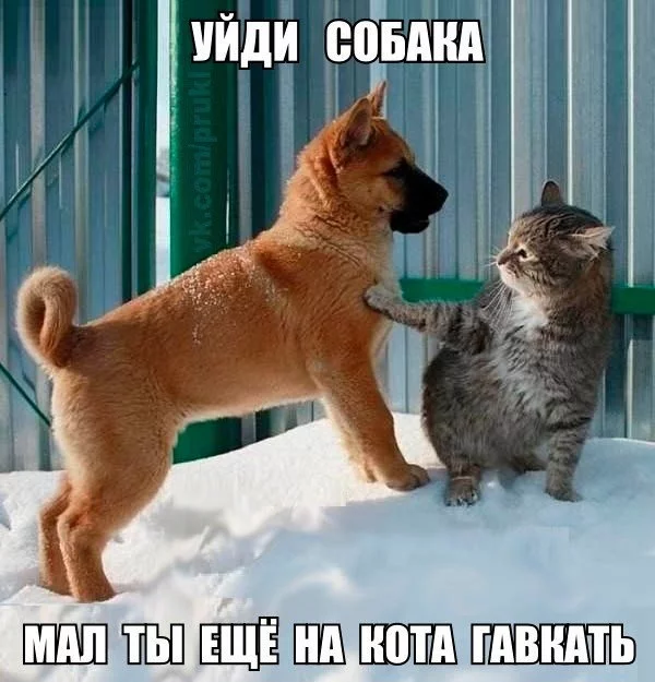 fjcgg5.webp