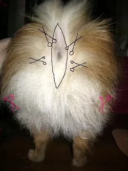 fjdh1h.webp