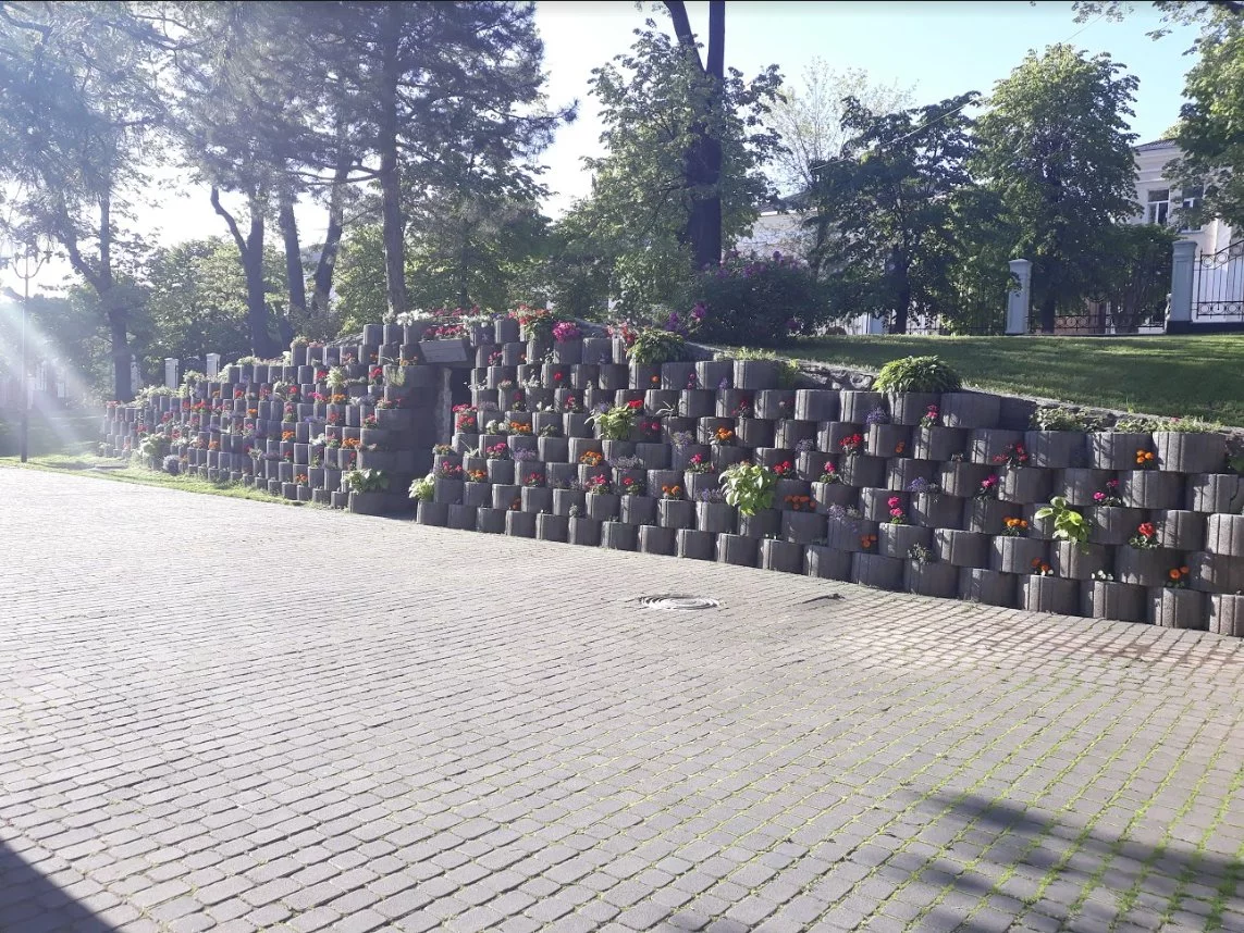 fjdj8h.webp