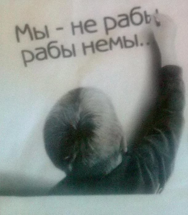 fjebj9.webp