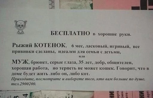 fjhde5.webp