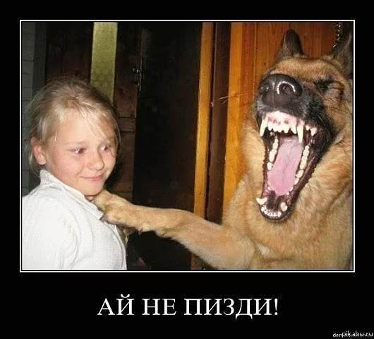 fjhh3f.webp