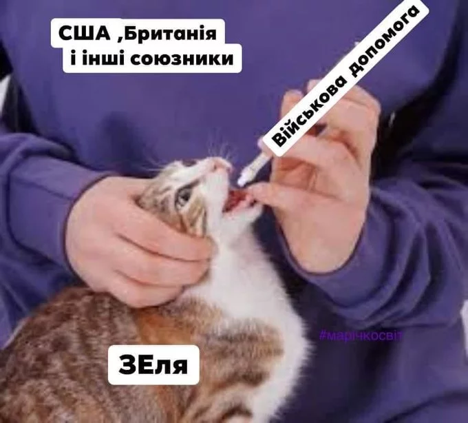FJxwyFMXwAER3W2?format=jpg&name=small.webp