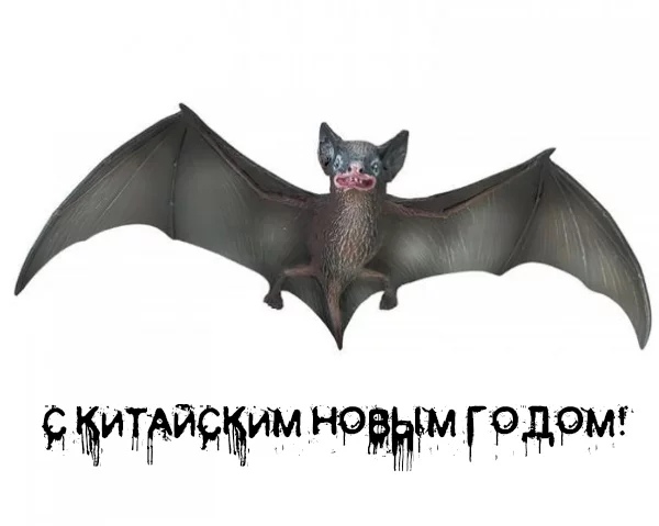 FKhQFpYXMAIzkwA?format=jpg&name=small.webp