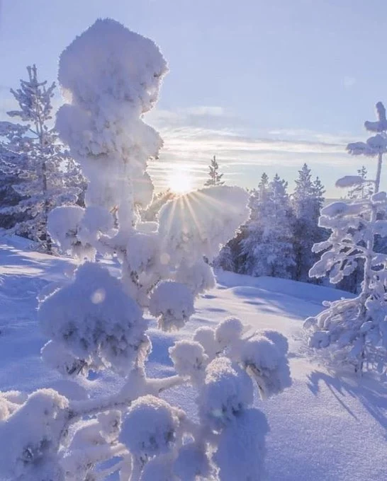 FKPhLWBX0AURMbp?format=jpg&name=small.webp