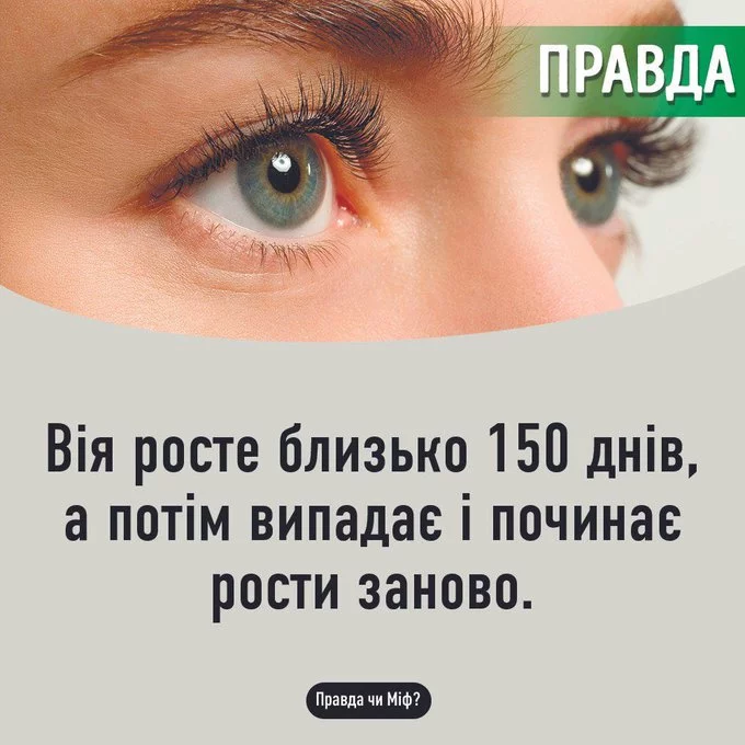 FKqN46kX0AIlMFK?format=jpg&name=small.webp