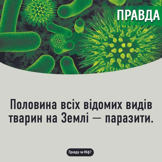 FKqN9xBX0AIONiU?format=jpg&name=small.webp