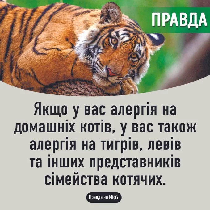 FKqNkVkXoAEqTlf?format=jpg&name=small.webp