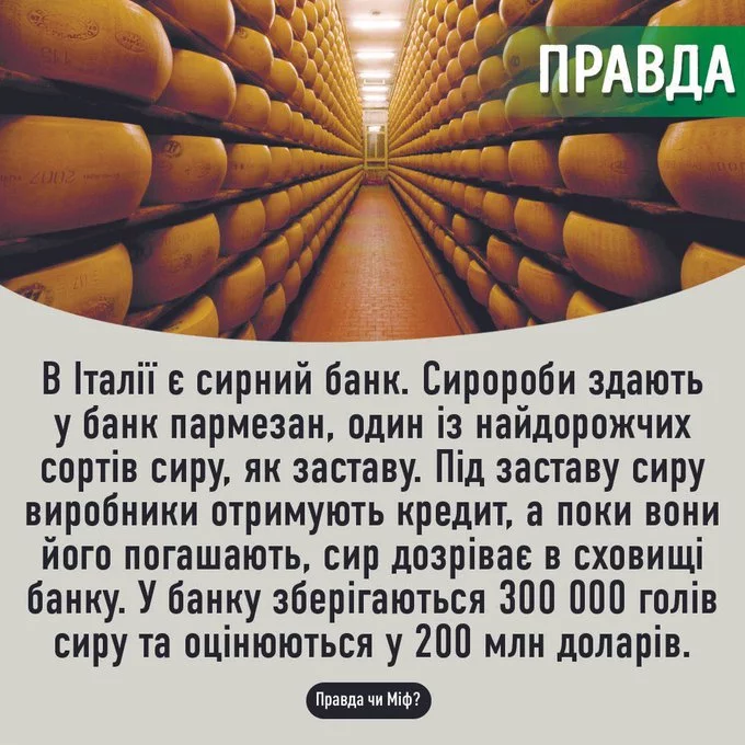 FKqNrquX0AI5n2S?format=jpg&name=small.webp