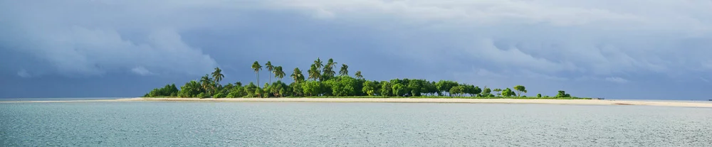 fl15.webp