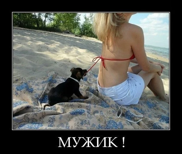 FLAX1oKrcdw.webp