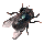 fliege_8.gif