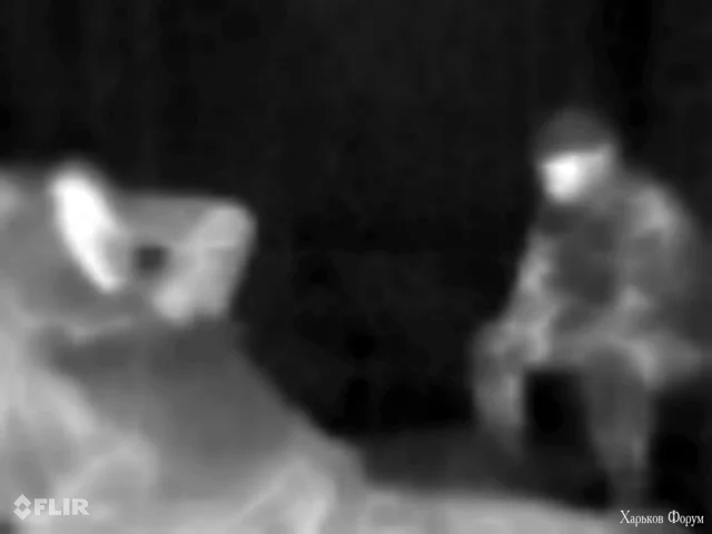 flir-20240416-T132656.webp