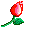flom05032.gif