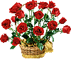 flom05486.gif