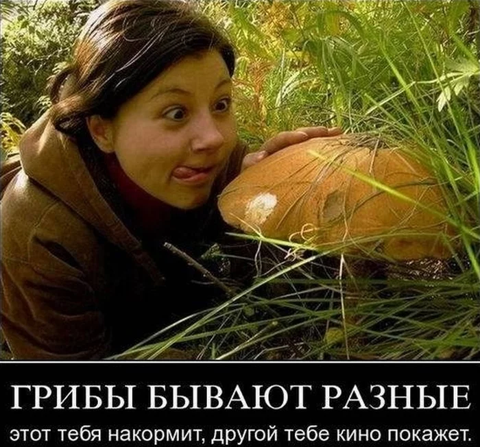 Flora1.1255819145_105.webp