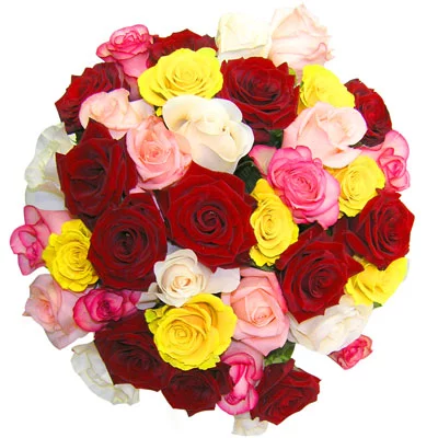flowers003.webp