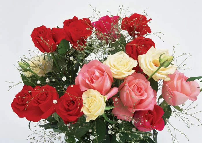 flowers040.webp