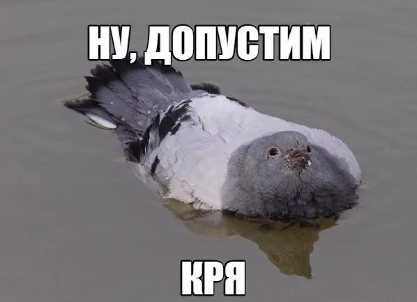 FnqfhcB_Wxg.webp