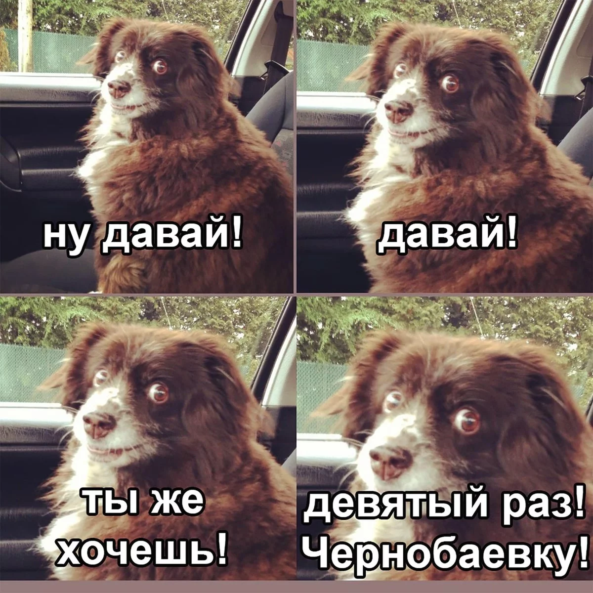 FOeFj83WYAkGXHB?format=jpg.webp