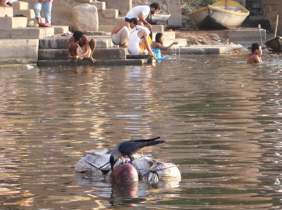 foto89.webp