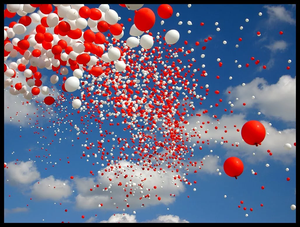 freedom1_by_skidu.webp