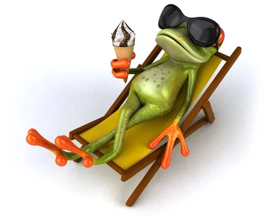 FrogDeckchair.webp