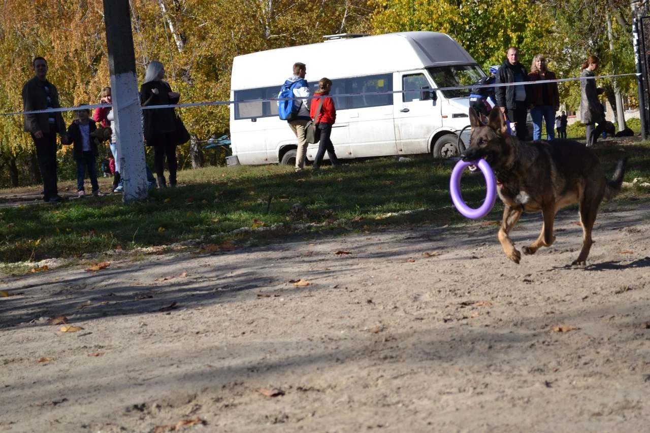 FTBmpNZV5QE.webp