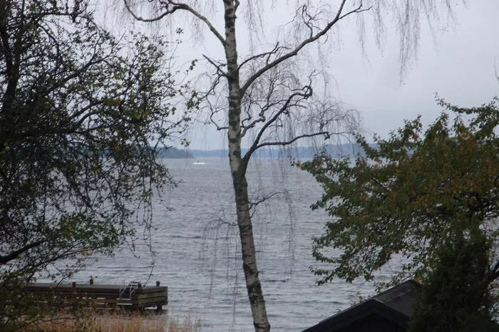 full-3606-89429-1_20141019193037_observation.webp