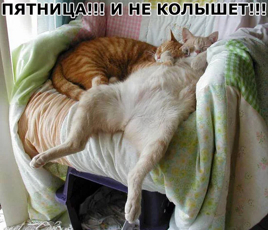 funfotos_01.webp