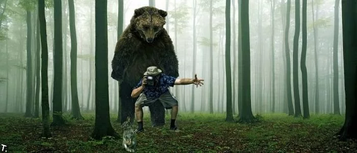 funny_photographers_03.webp