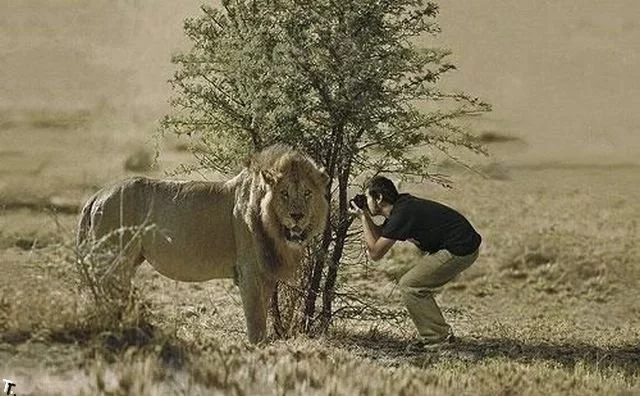 funny_photographers_25.webp