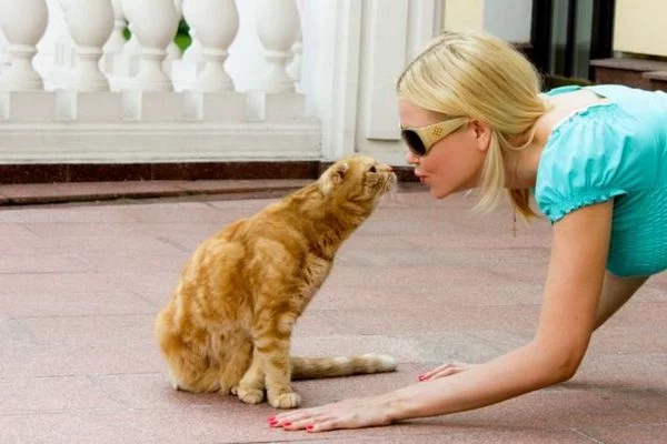 funnyphoto-076.webp