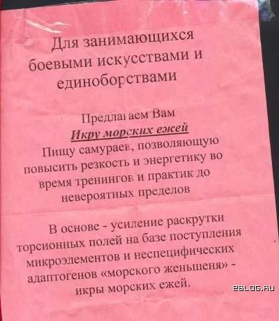 funpics18032009_71.webp