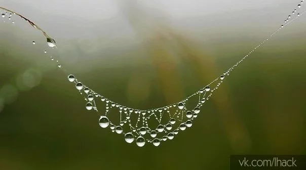 fX5H2DnrkW0.webp