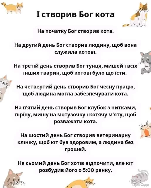 fZxH7GcJmV2SIsU&_nc_zt=23&_nc_ht=scontent.fiev28-1.webp