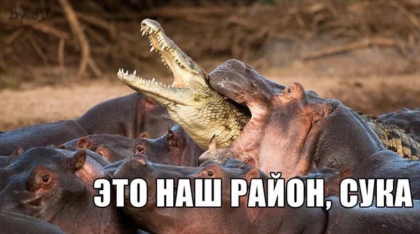 G-XXPvEXu0Q.webp