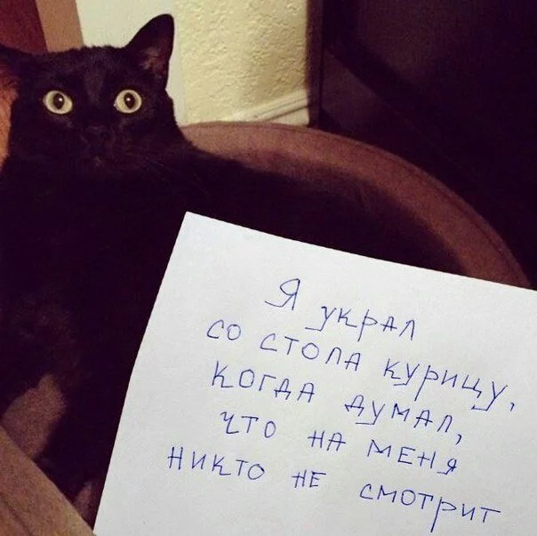 g0cedh.webp