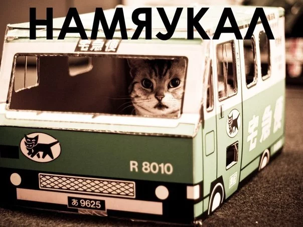 G10a65FDY9c.webp
