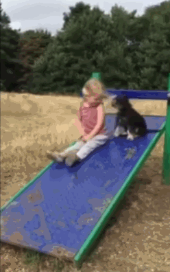 g1afde.gif