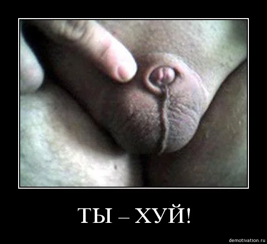 g1ebhj.webp
