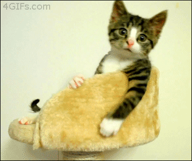 g2efga.gif