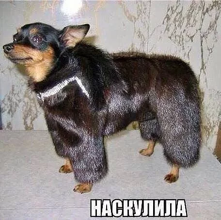 g3djdg.webp