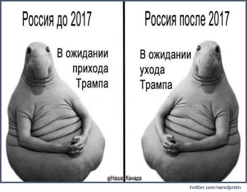 g3feej.webp