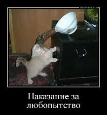 g3jbec.webp